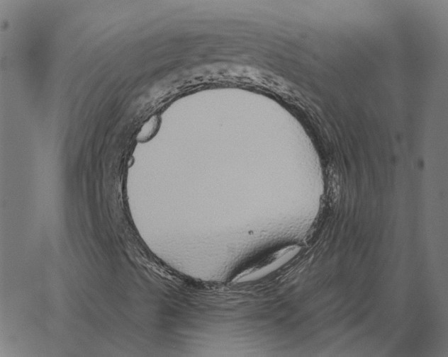 X0000067371489200604281737