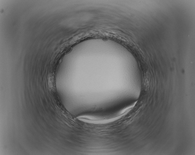 X0000067371490200604281737