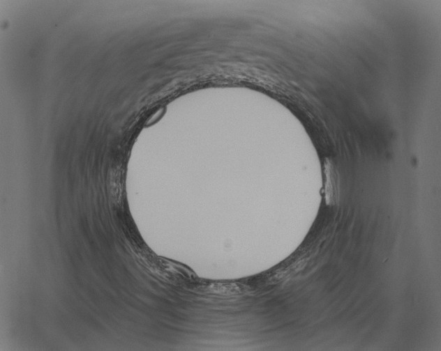 X0000067371491200604281737