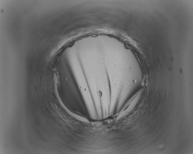 X0000067371496200604281737