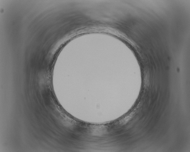 X0000067371498200604281737