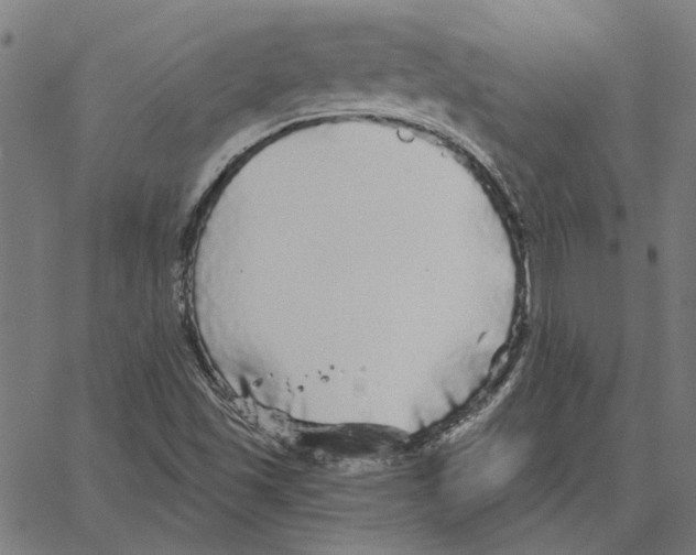 X0000067371501200604281737