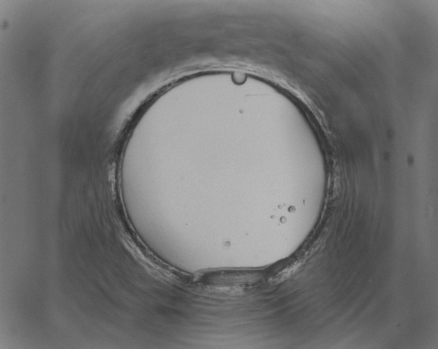 X0000067371503200604281737