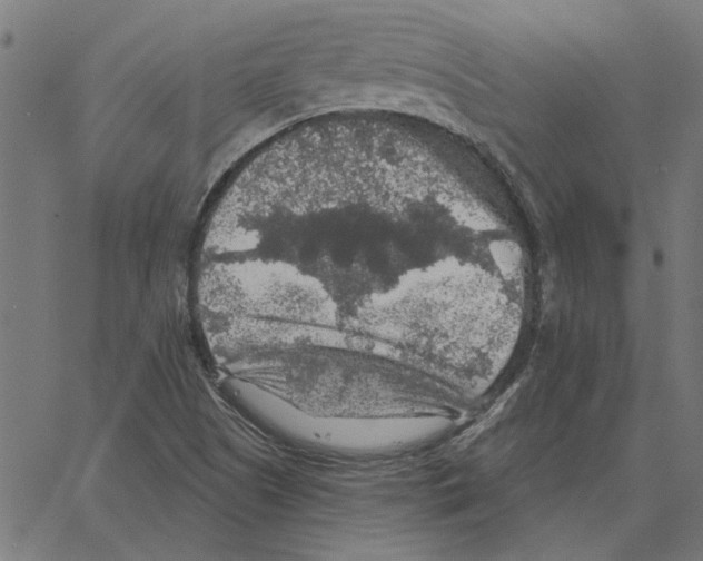 X0000067371505200604281737