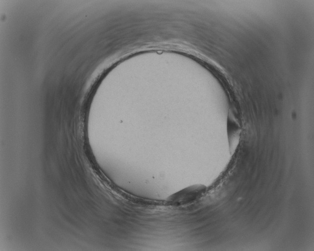 X0000067371506200604281737