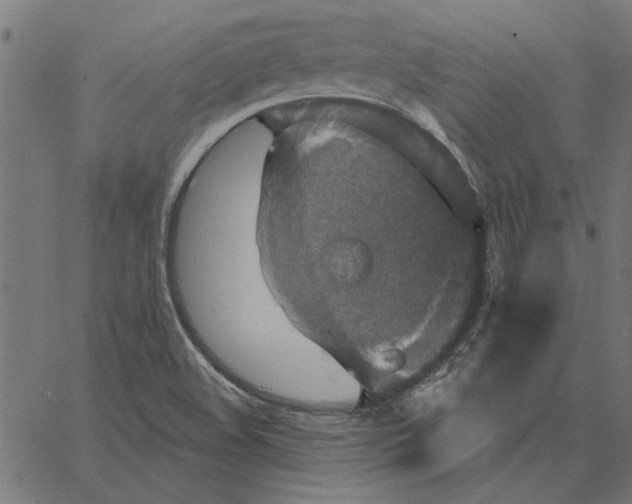 X0000067371508200604281737