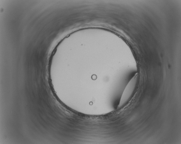 X0000067371512200604281737