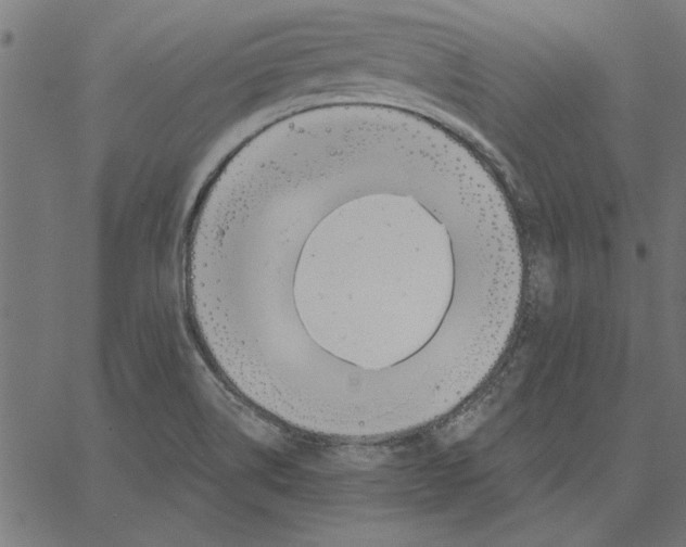 X0000067371514200604281737