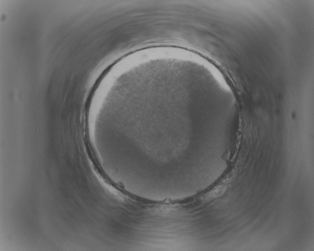 X0000067371519200604281737