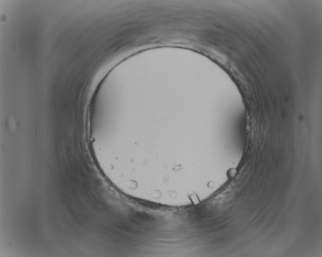 X0000067371520200604281737