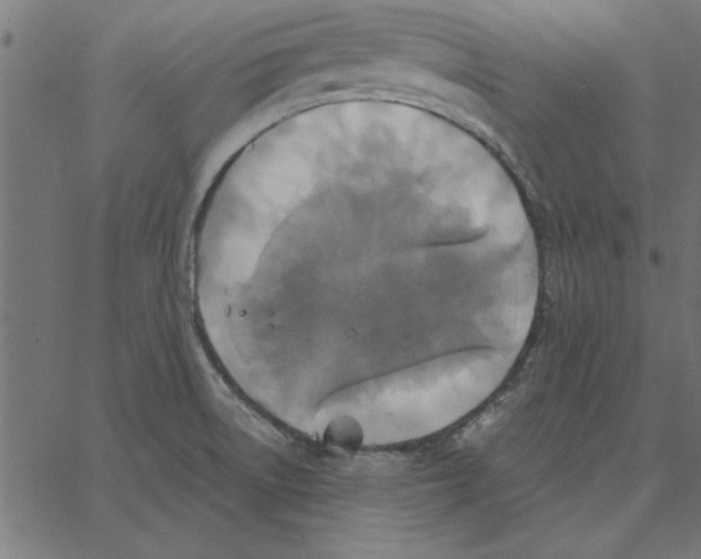 X0000067371522200604281737