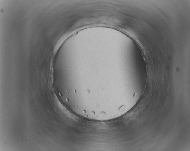 X0000067371524200604281737