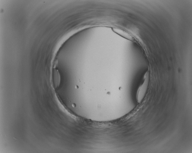 X0000067371528200604281737