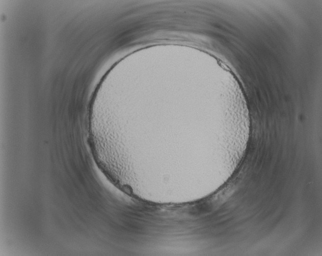 X0000067371531200604281738