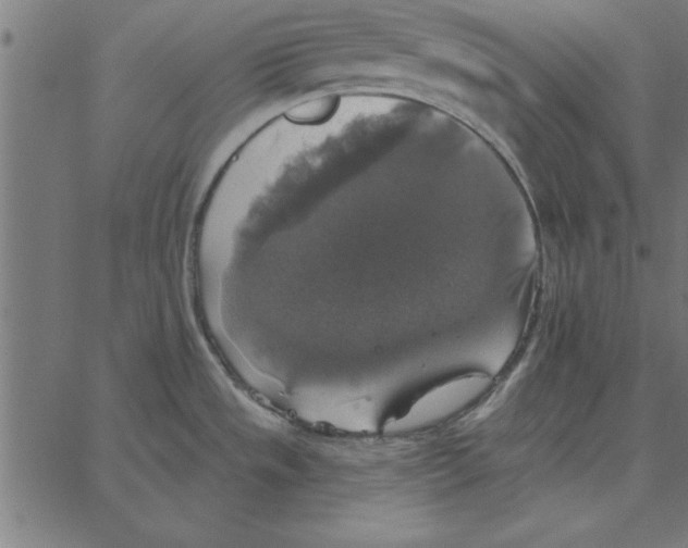 X0000067371533200604281738