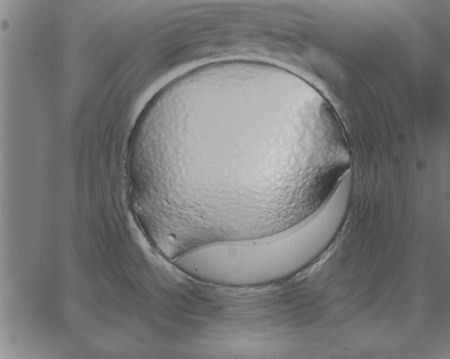 X0000067371534200604281738