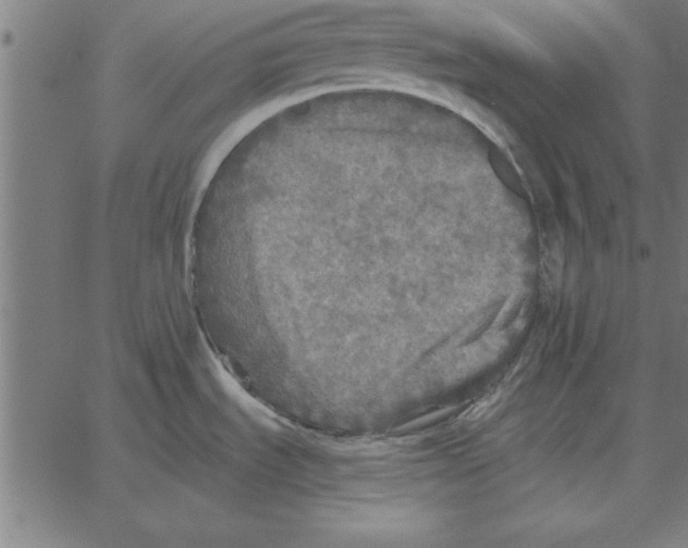 X0000067371535200604281738