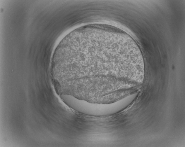 X0000067371536200604281738