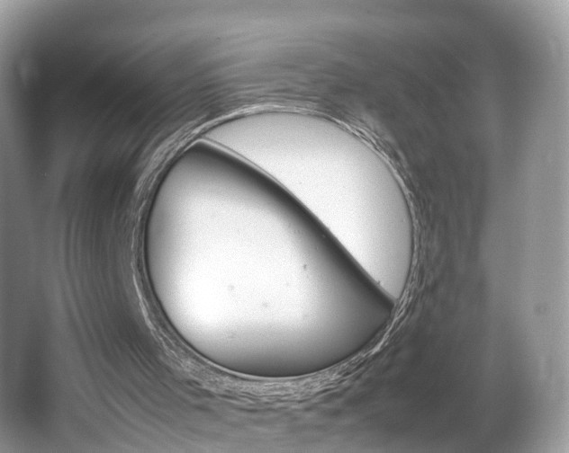 X0000067380001200603311032