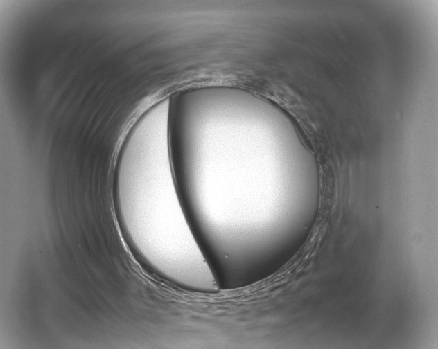 X0000067380003200603311032