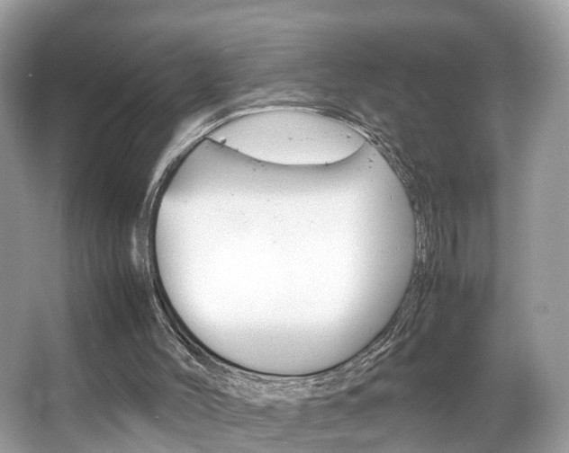 X0000067380004200603311032