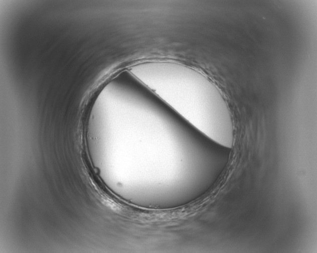 X0000067380005200603311032
