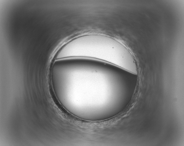 X0000067380007200603311032