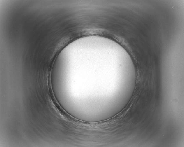 X0000067380010200603311032