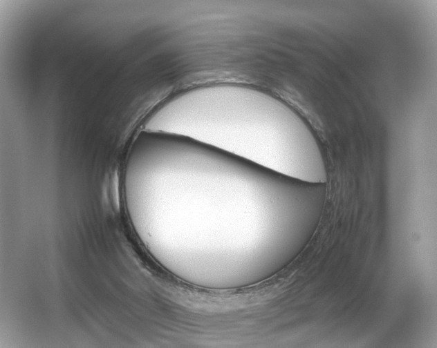 X0000067380014200603311032