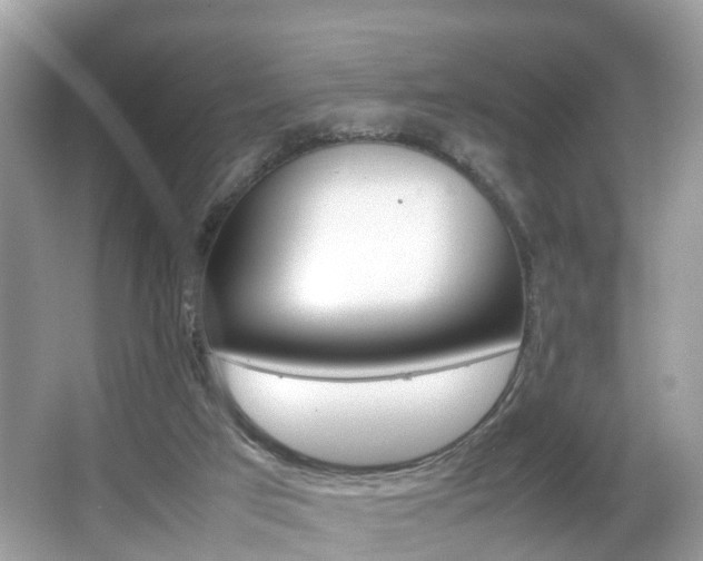 X0000067380017200603311032