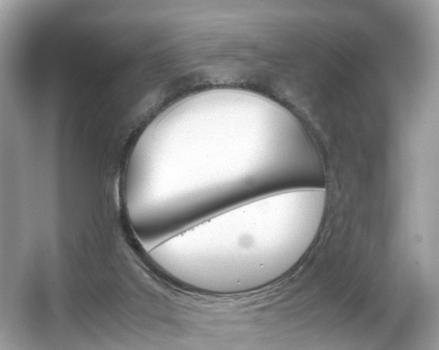 X0000067380019200603311032