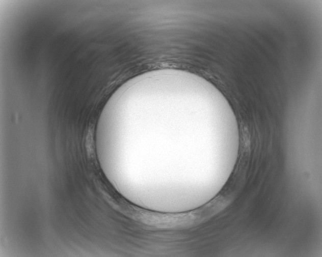X0000067380036200603311032