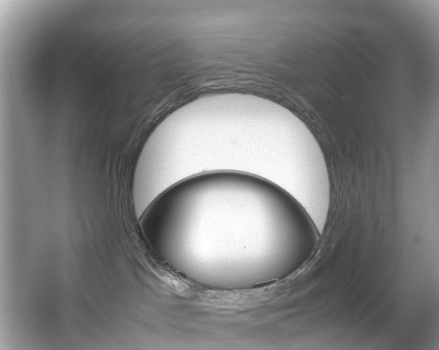 X0000067380045200603311031