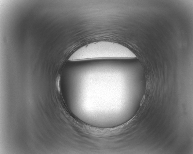 X0000067380047200603311031