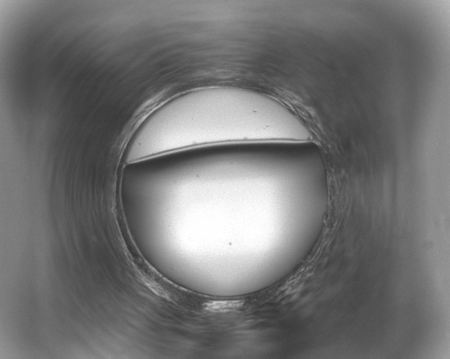 X0000067380051200603311031