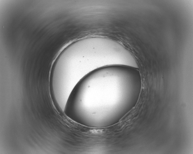 X0000067380052200603311031