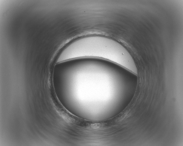 X0000067380064200603311031