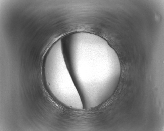 X0000067380098200603311031