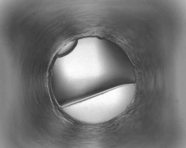 X0000067380100200603311031