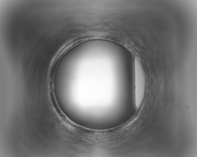X0000067380101200603311031