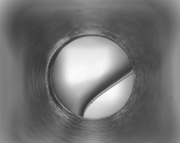 X0000067380104200603311030