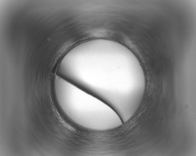X0000067380106200603311030