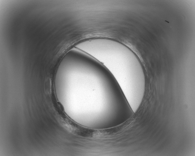X0000067380109200603311030