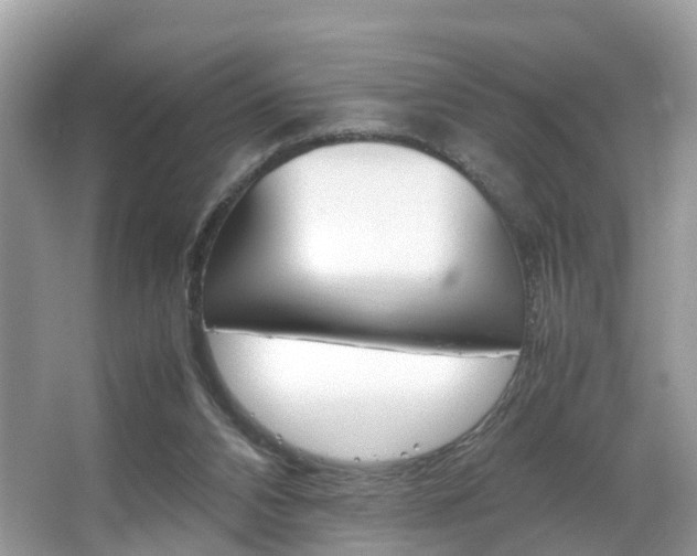 X0000067380112200603311030