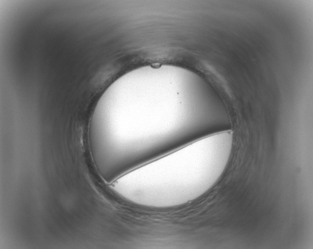 X0000067380115200603311030