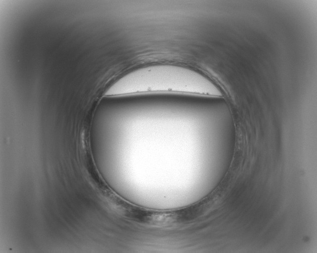 X0000067380117200603311030
