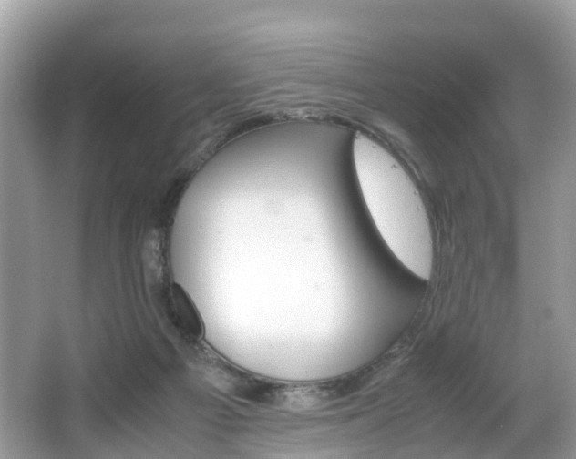 X0000067380121200603311030