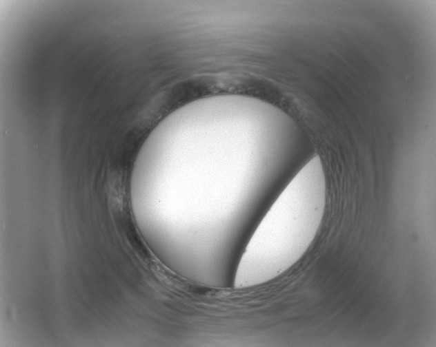 X0000067380129200603311030