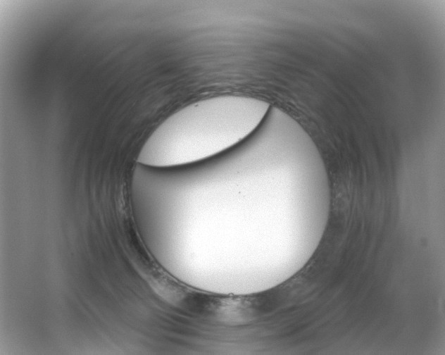 X0000067380130200603311030