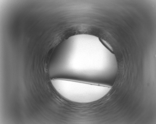 X0000067380135200603311030